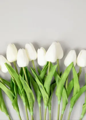 13.5" REAL TOUCH WHITE TULIP