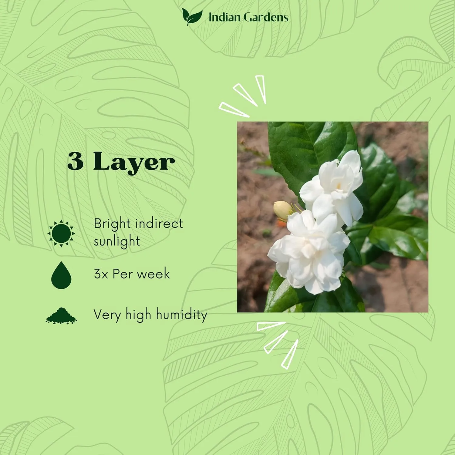 3 Layer Malli