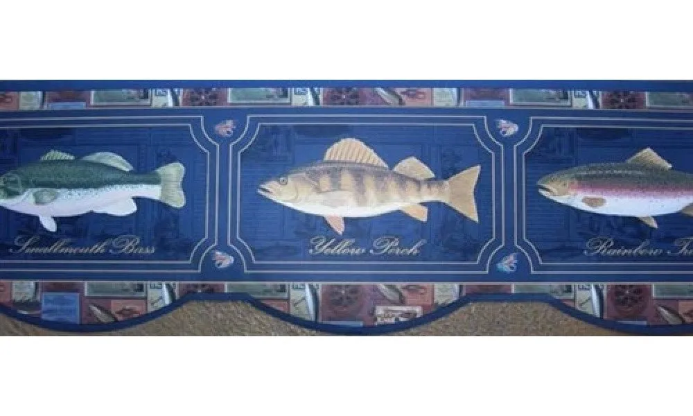 Blue Framed Fish Photos 593565 Wallpaper Border
