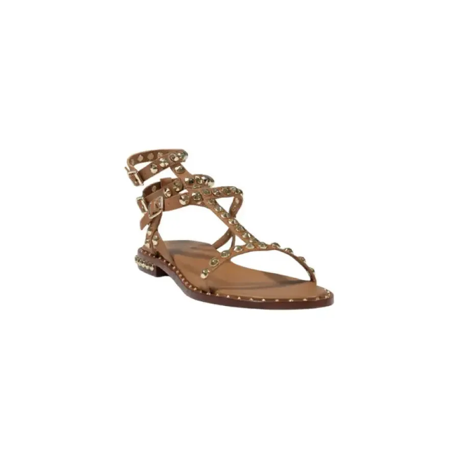 Brown Studded Gladiator Sandal