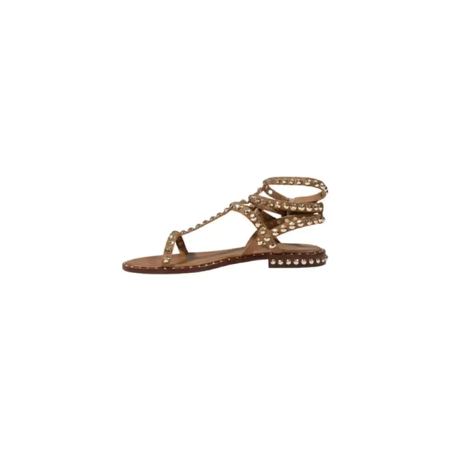 Brown Studded Gladiator Sandal
