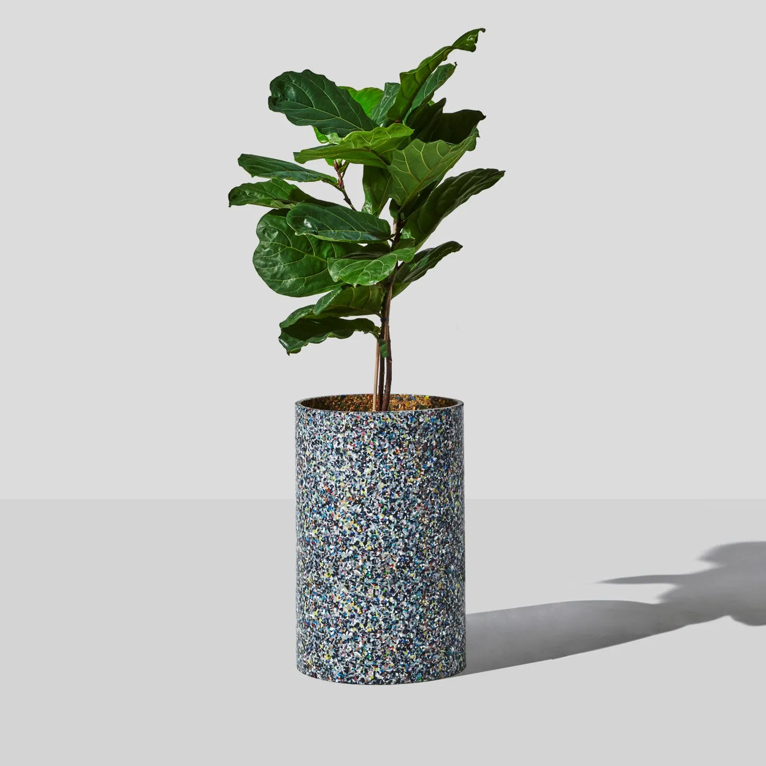 Confetti Planter