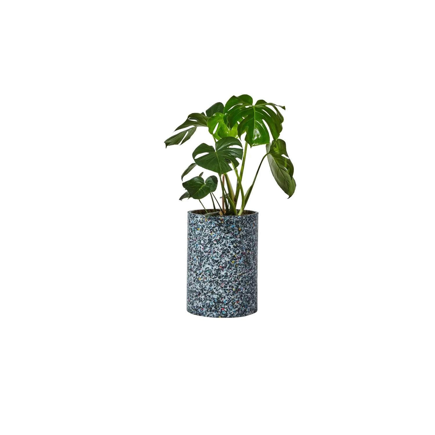 Confetti Planter