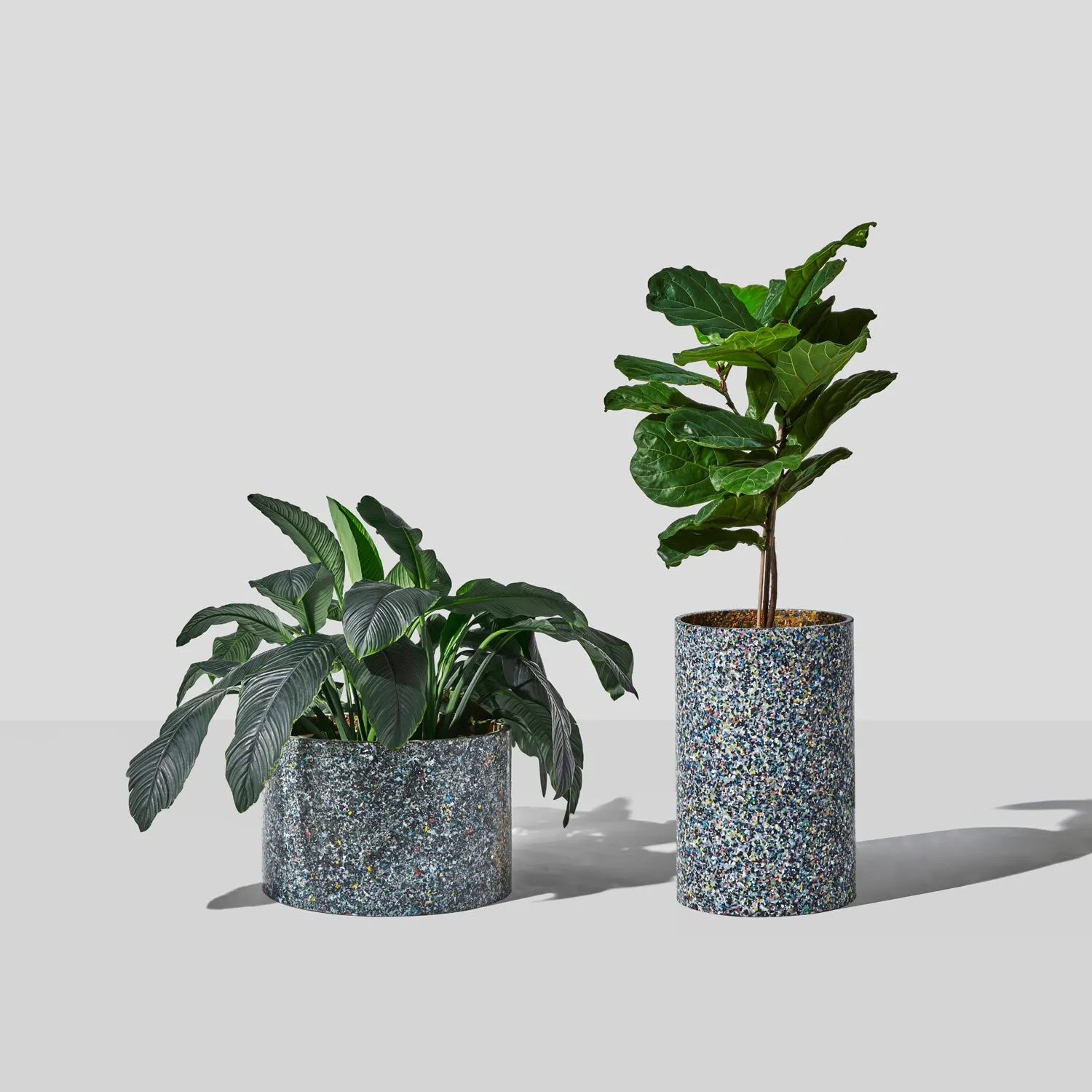 Confetti Planter