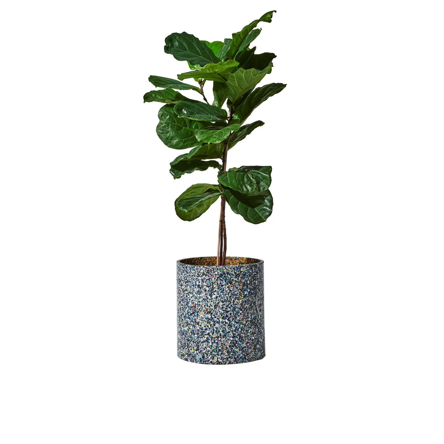 Confetti Planter