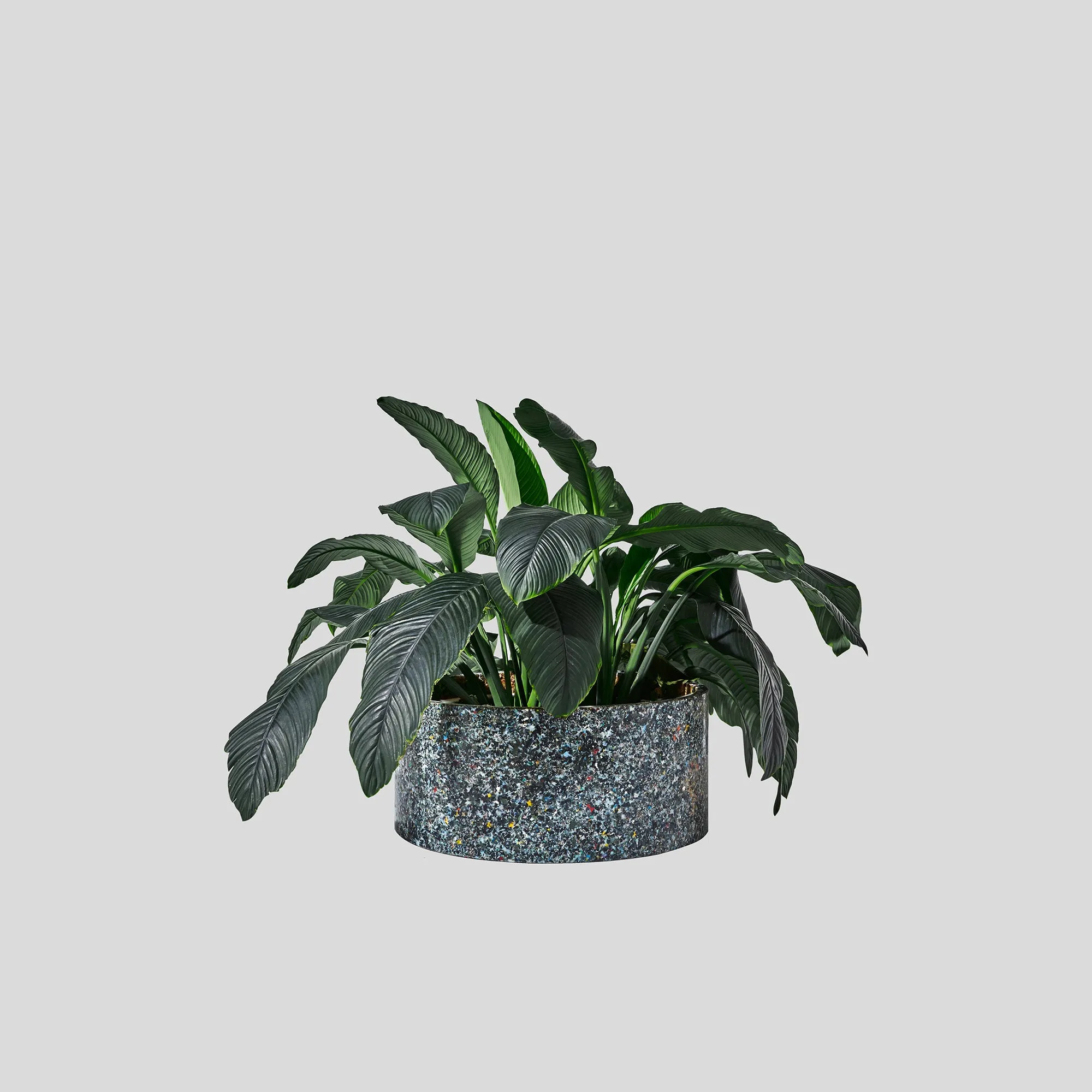 Confetti Planter