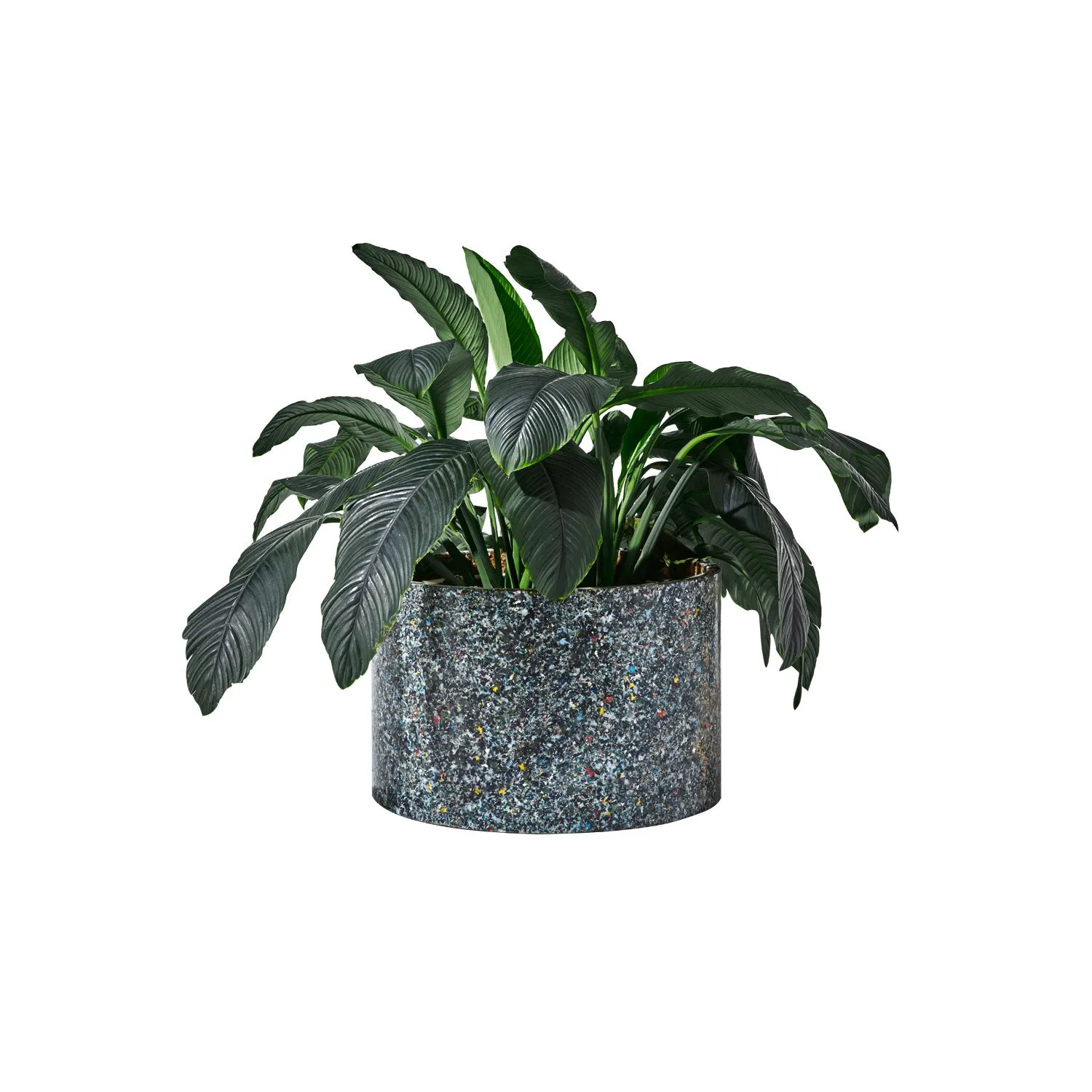 Confetti Planter
