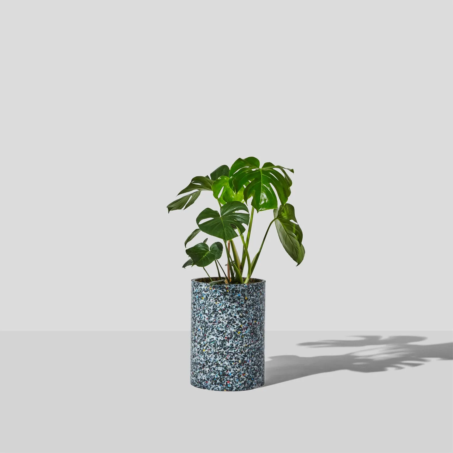 Confetti Planter