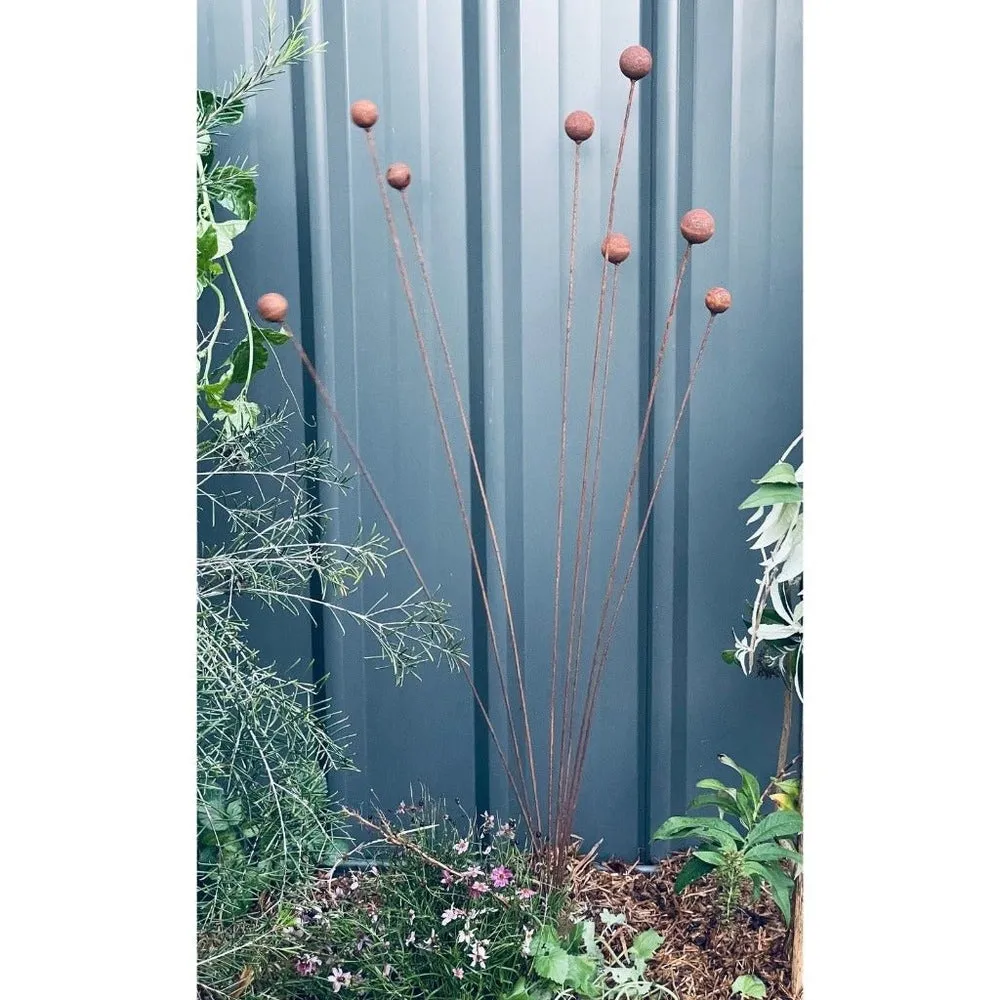 Decorative Billy Buttons Garden Stake - Rust Finish