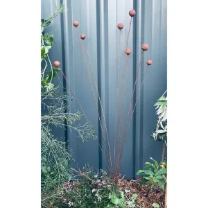 Decorative Billy Buttons Garden Stake - Rust Finish