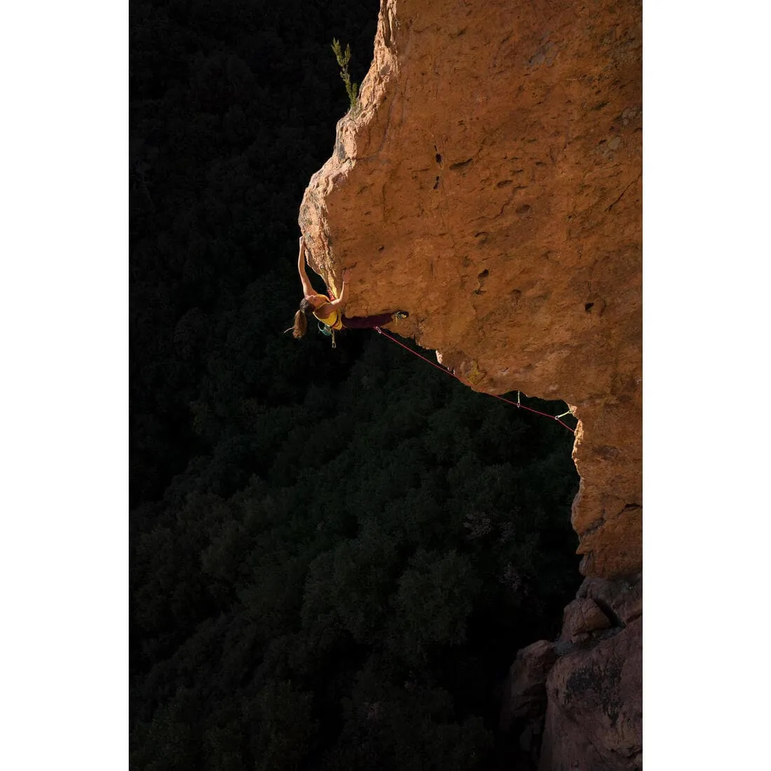 DÉGAINE D'ESCALADE ET ALPINISME - EDGE 25CM