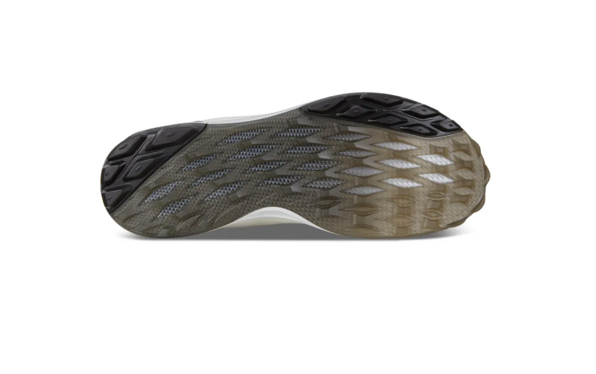 ECCO Men's Biom Hybrid 3 Gore-tex Golf Shoe