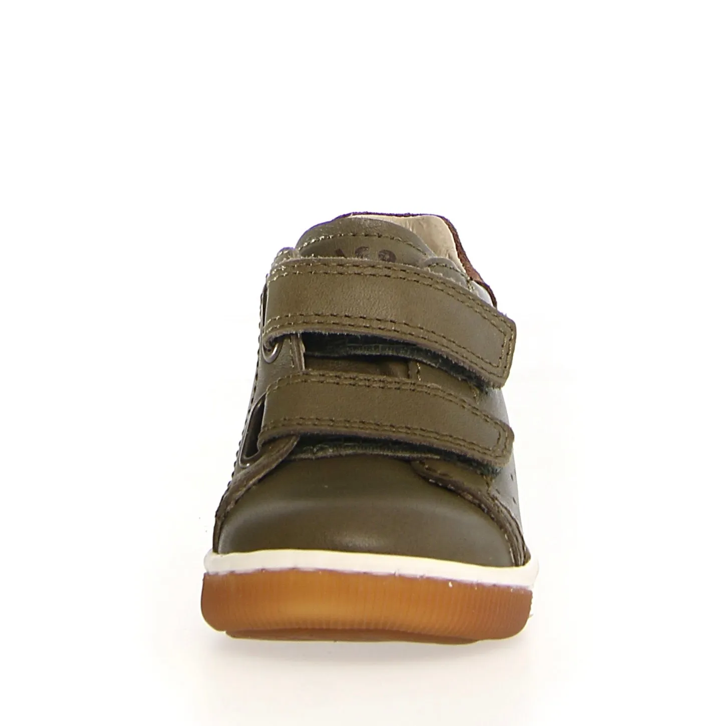 FALCOTTO - Adam - Olive