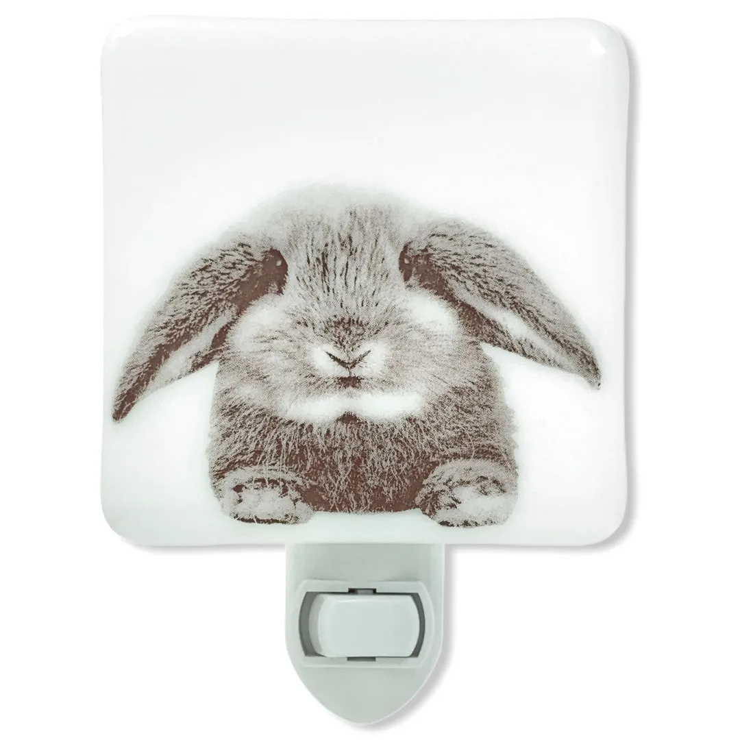 Floppy Eared Bunny Rabbit Night Light