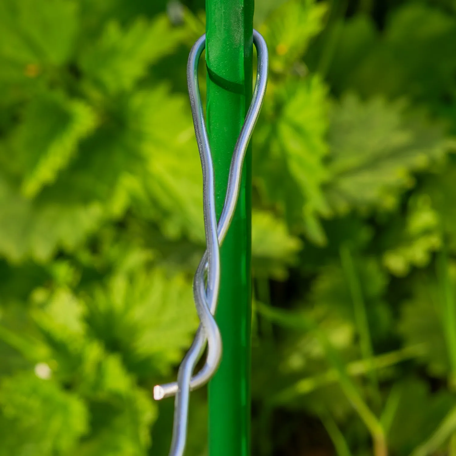 Galvanised Steel Garden Wire for Plant Ties & Support, DIY & Fencing – 2mm x 50m