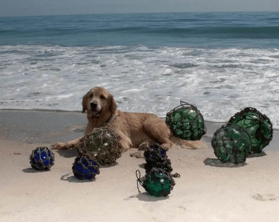 Glass Floats - Authentic Seaglass Floats