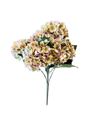 Hydrangea Lilac Bush