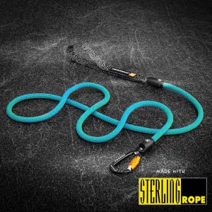 Ion Blue Dry 9.4mm Dog Leash