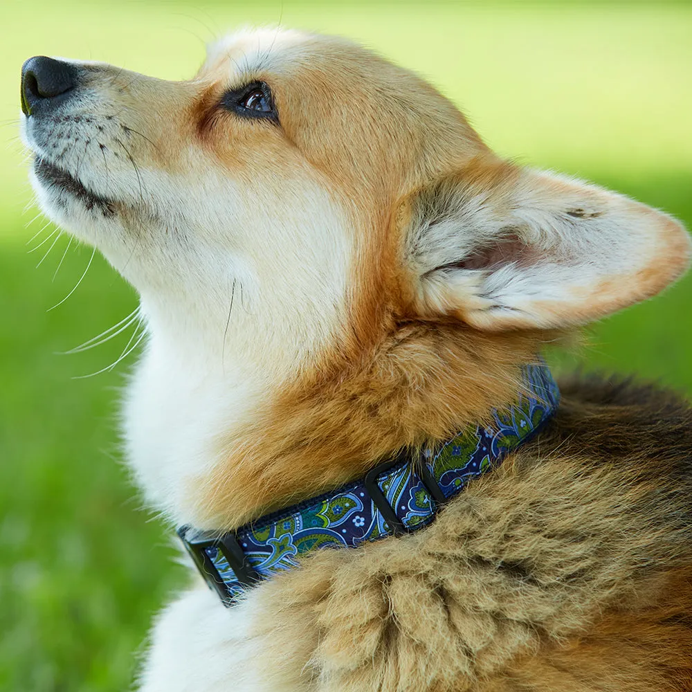 Kringle Silver - Dog Collar