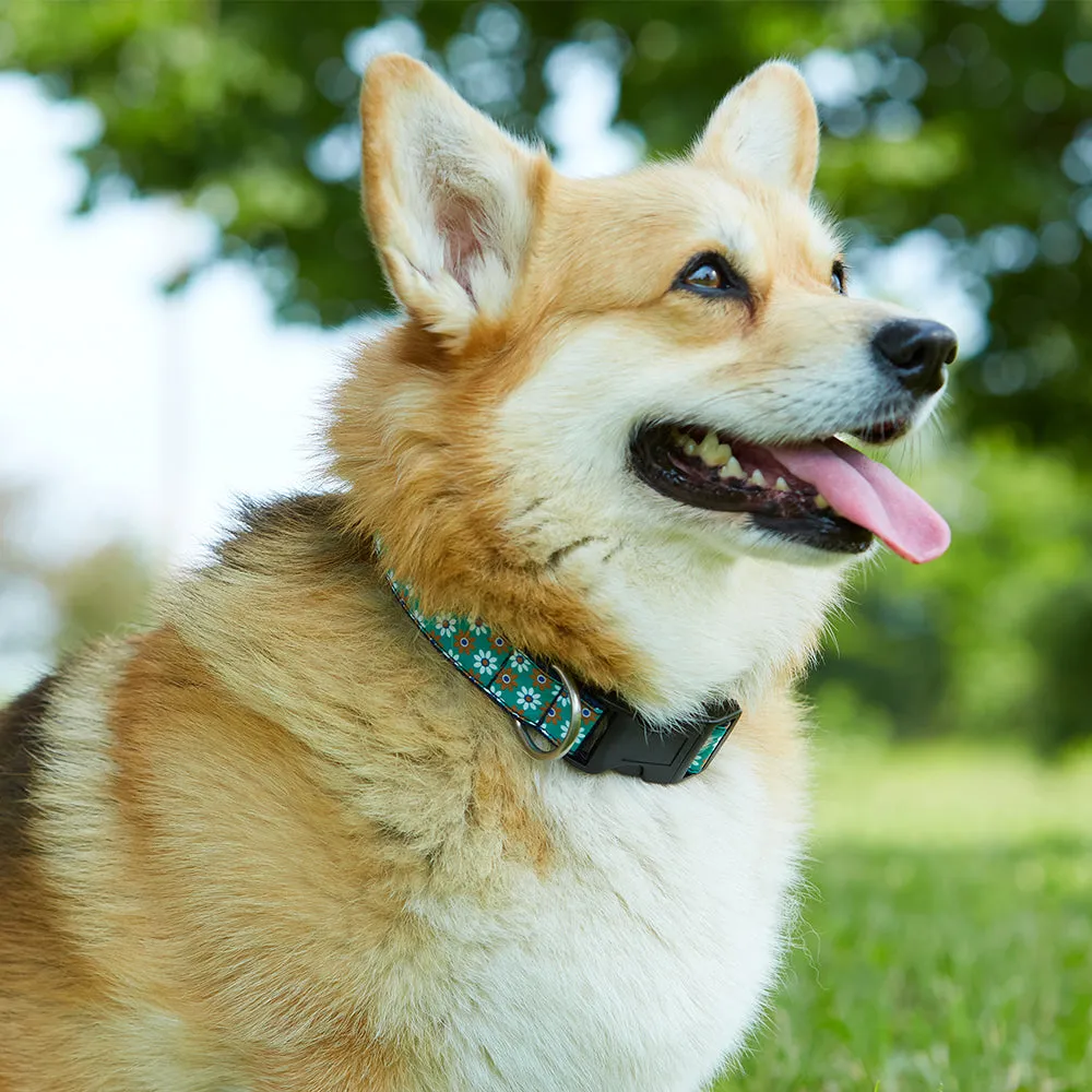 Kringle Silver - Dog Collar