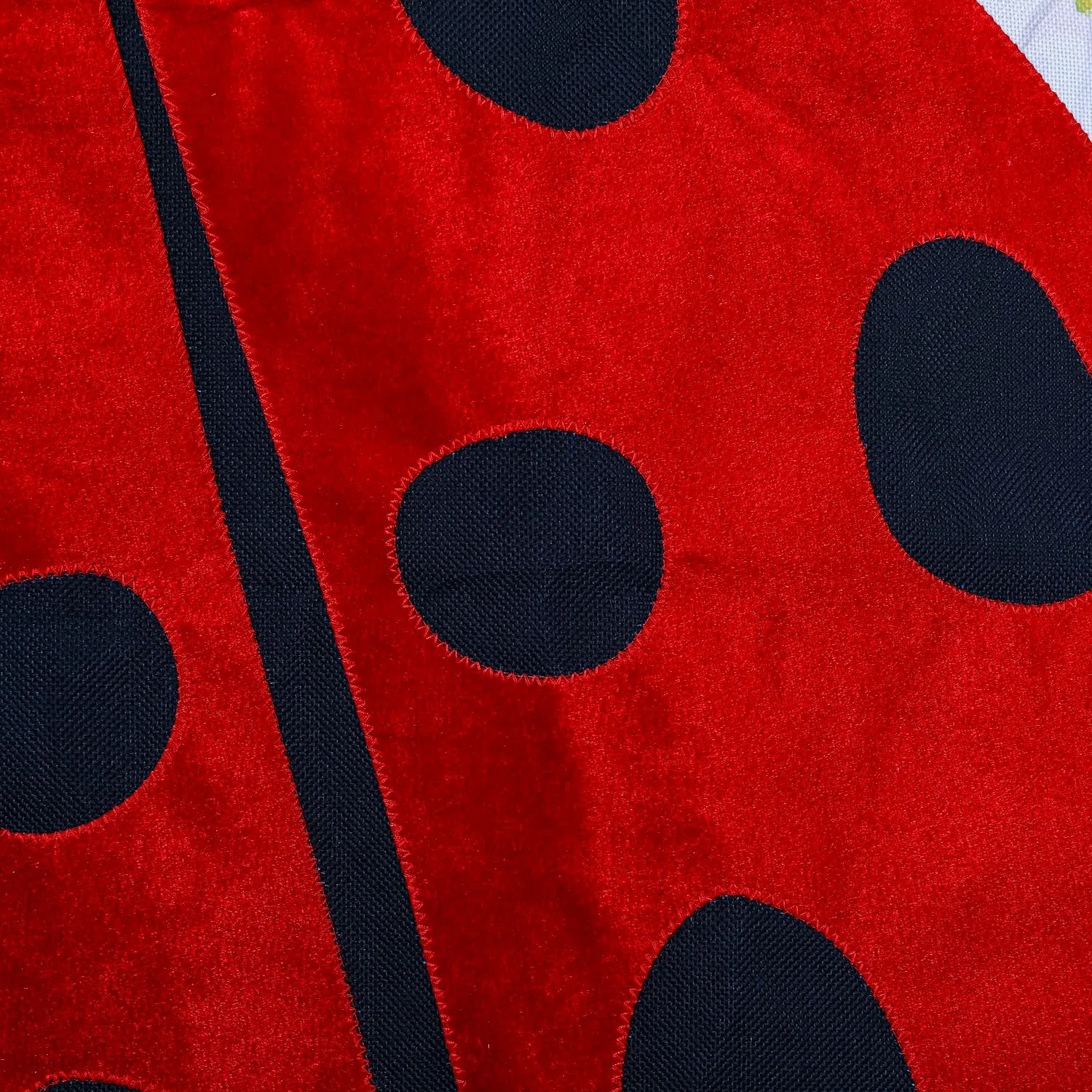 Ladybug with Checks House Burlap Flag,13b10347