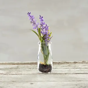 Lavender Jar