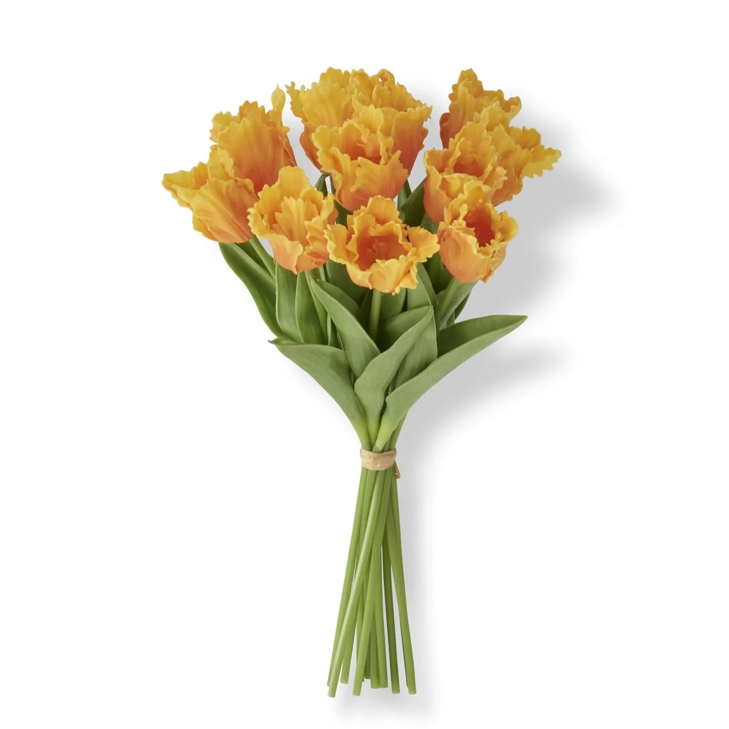 Light Orange Parrot Tulip Bundle