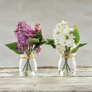 Lilacs In Vase