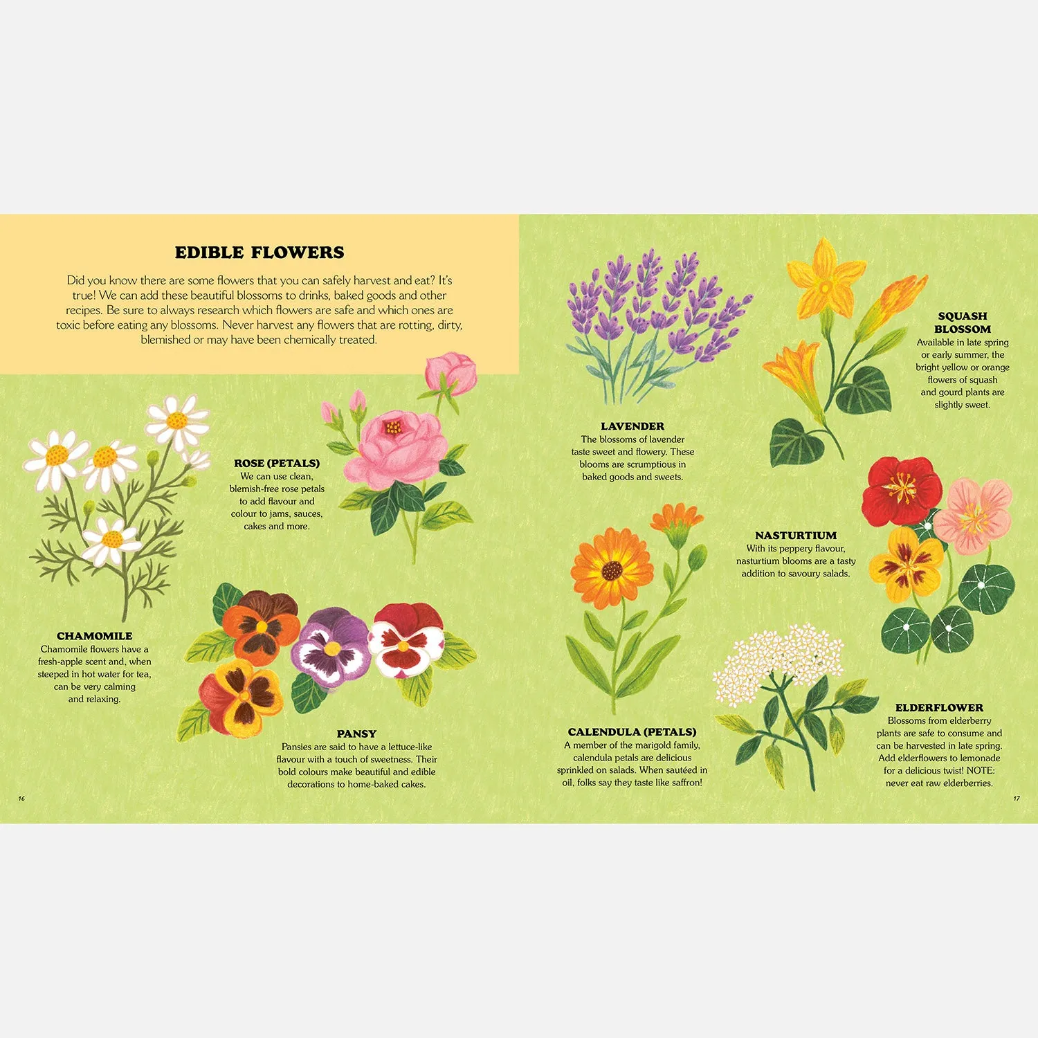 Little Country Cottage: A Spring Treasury of Recipes, Crafts and Wisdom