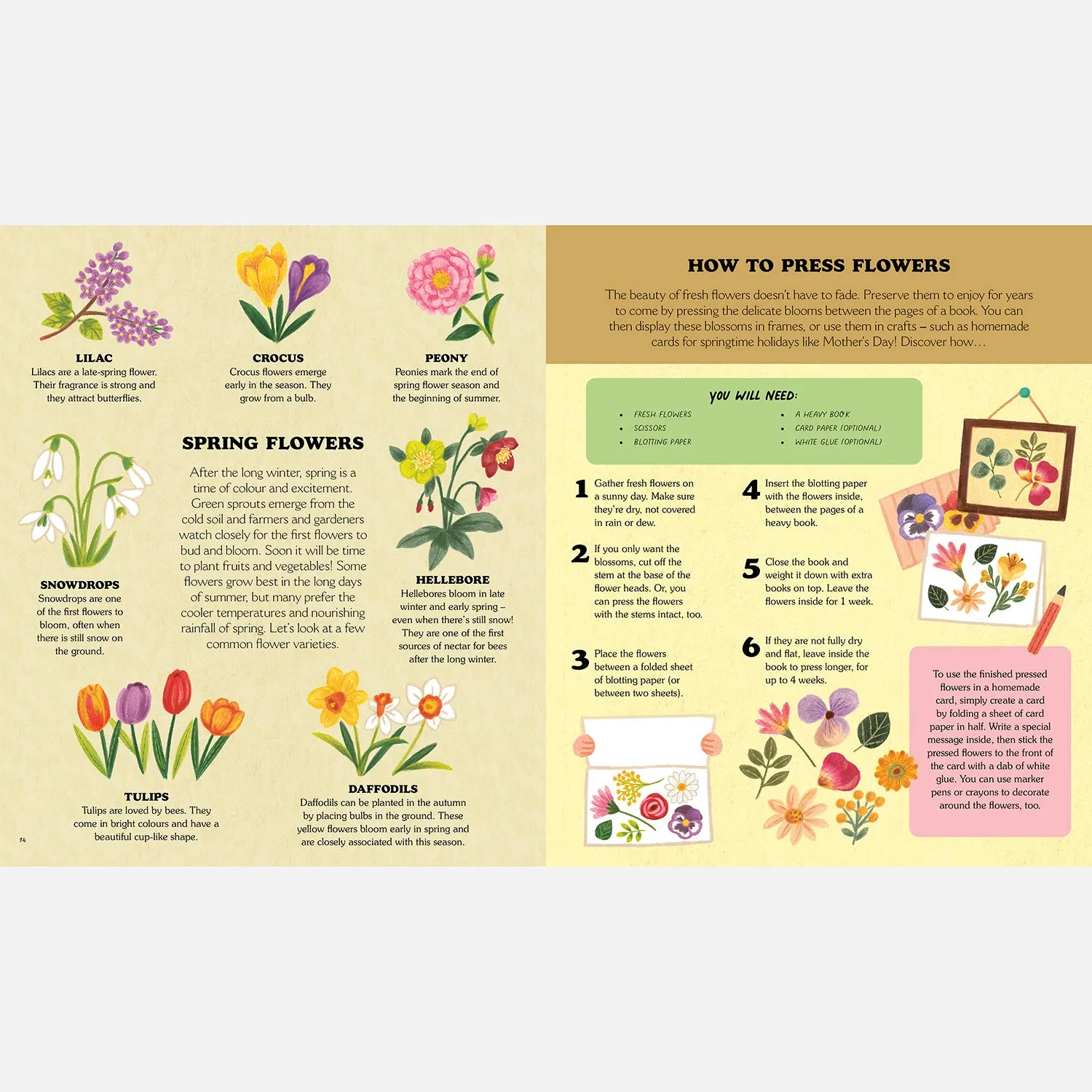 Little Country Cottage: A Spring Treasury of Recipes, Crafts and Wisdom