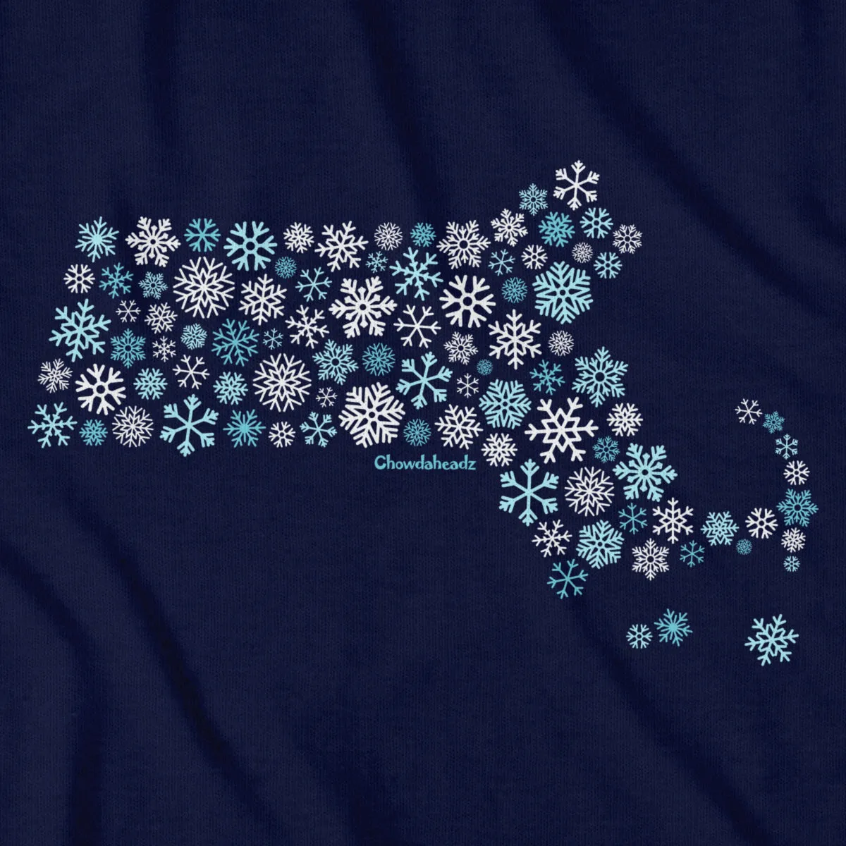 MaSNOWchusetts Youth T-Shirt