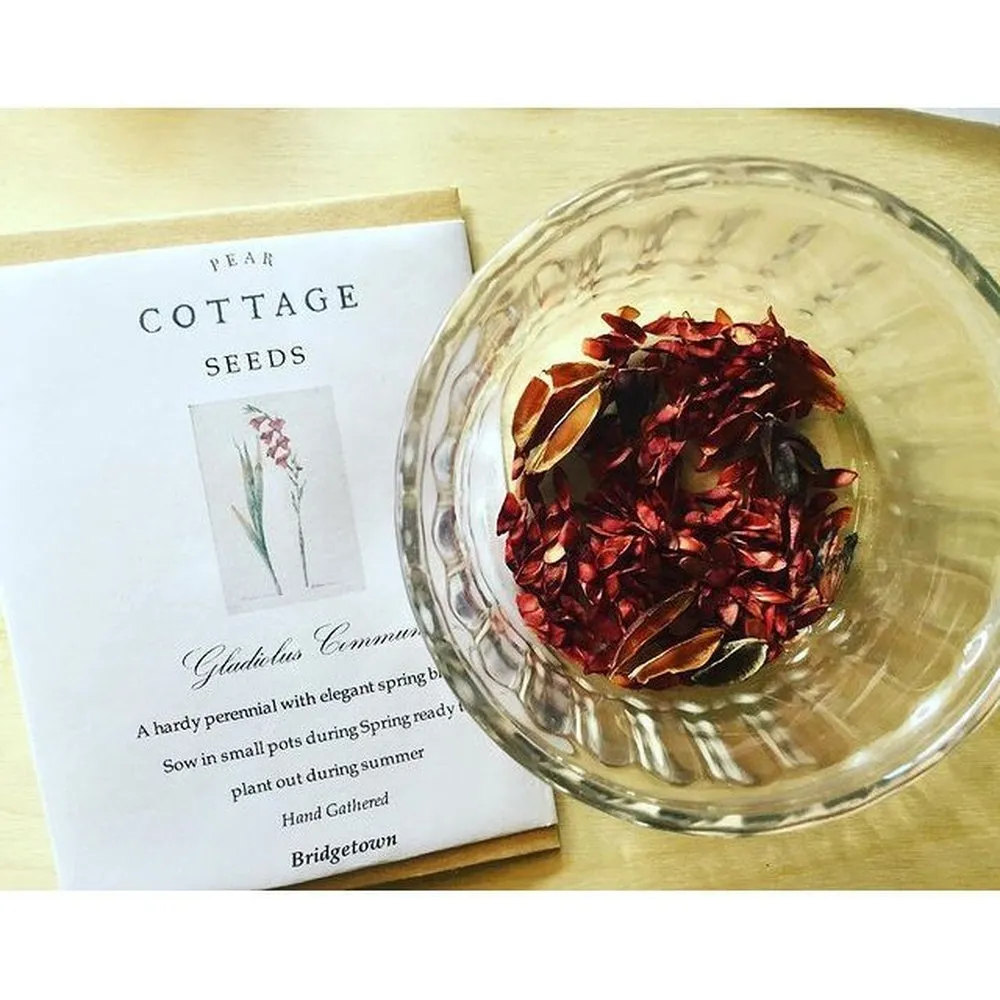 Open Pollinated Seeds - Pear Cottage