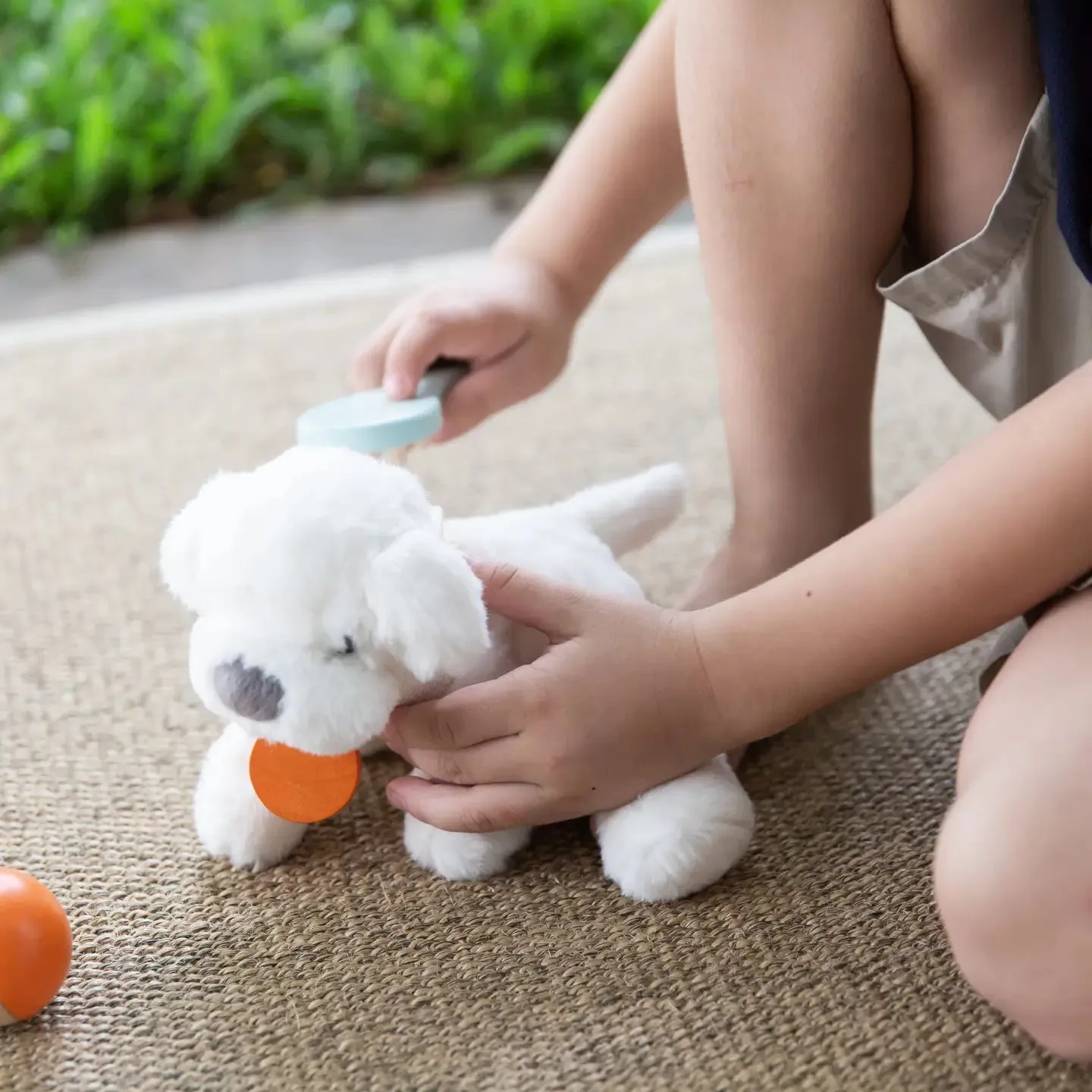 Pet Care Set