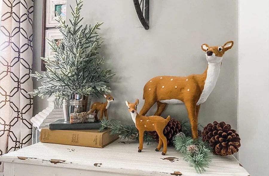 Potted Snow Mountain Pine Tree