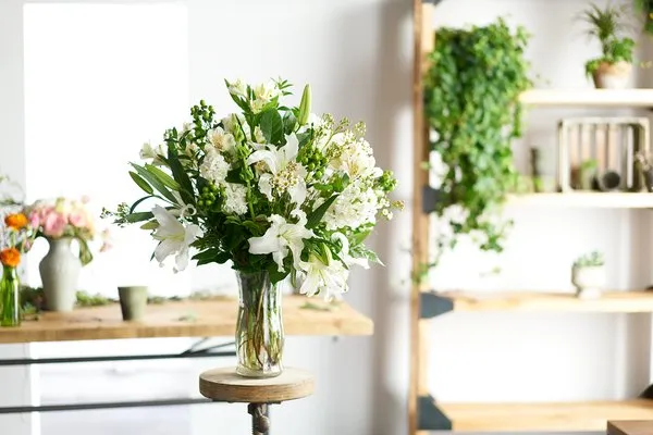 Pure Elegance