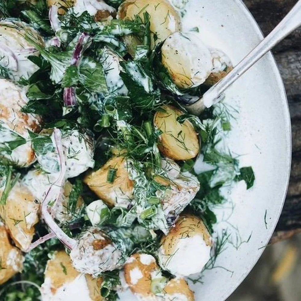Seasoned Cook Book- Recipes for Rain, Hail & Shine by Casey Lister