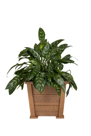 Small 12 Inch Square Poly Planters