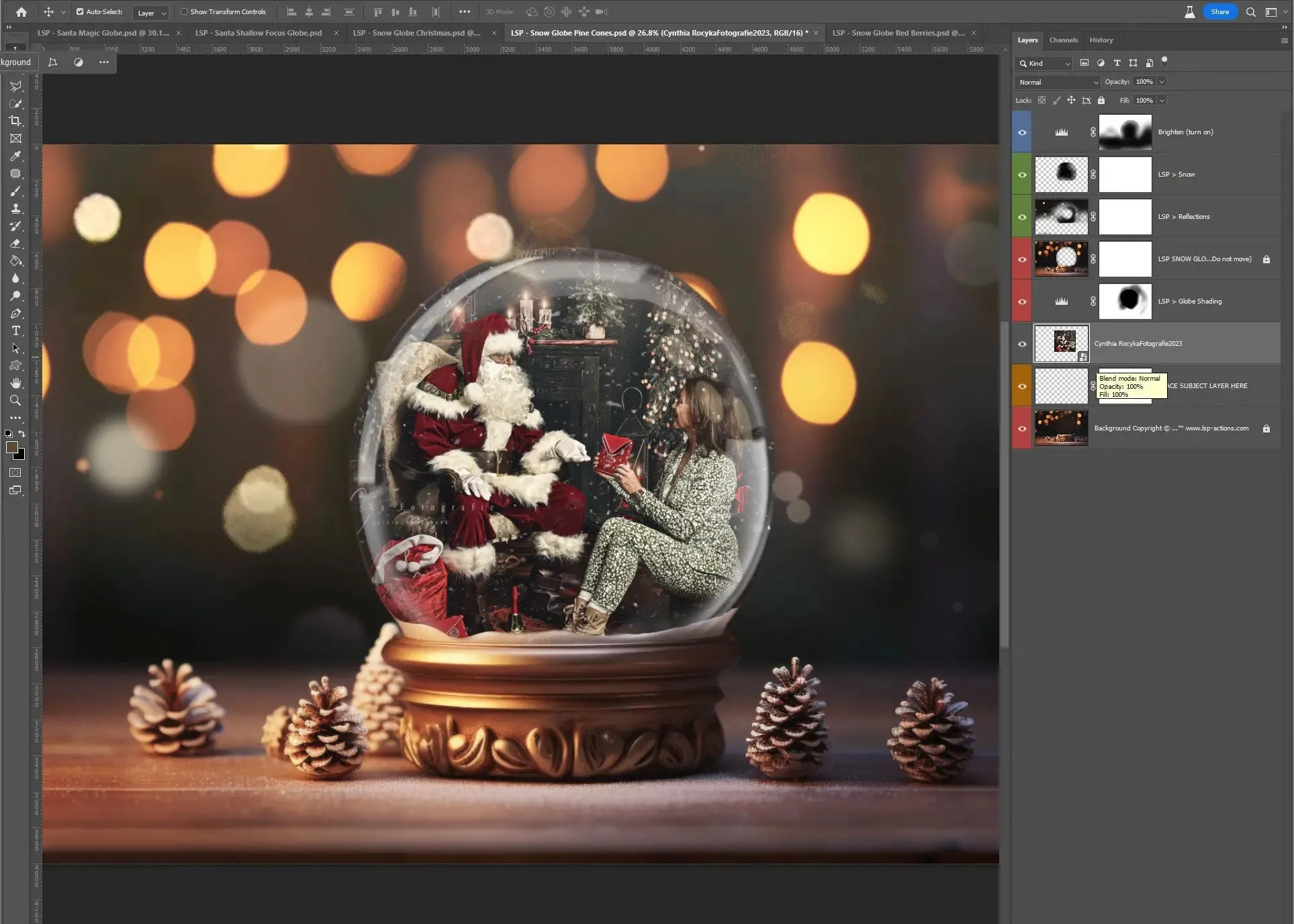 Snow Globe Christmas Digital Backgrounds V1