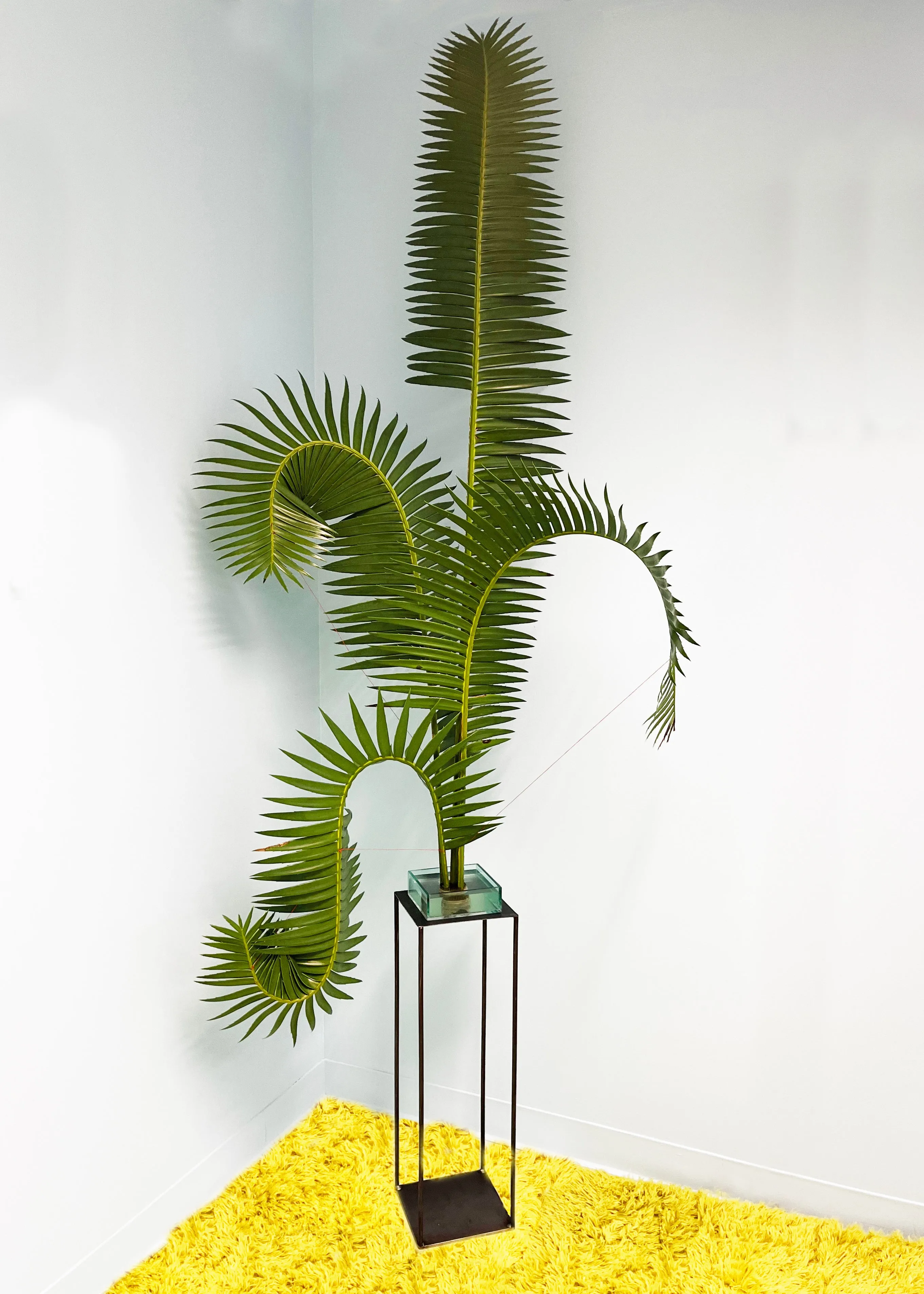 Sophie Parker, "Sawblade Tension IV"