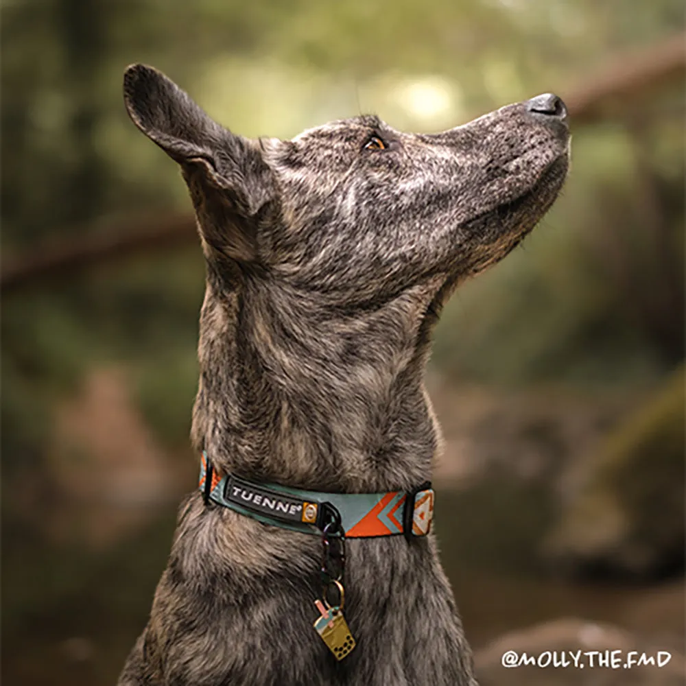 Southwest Collar