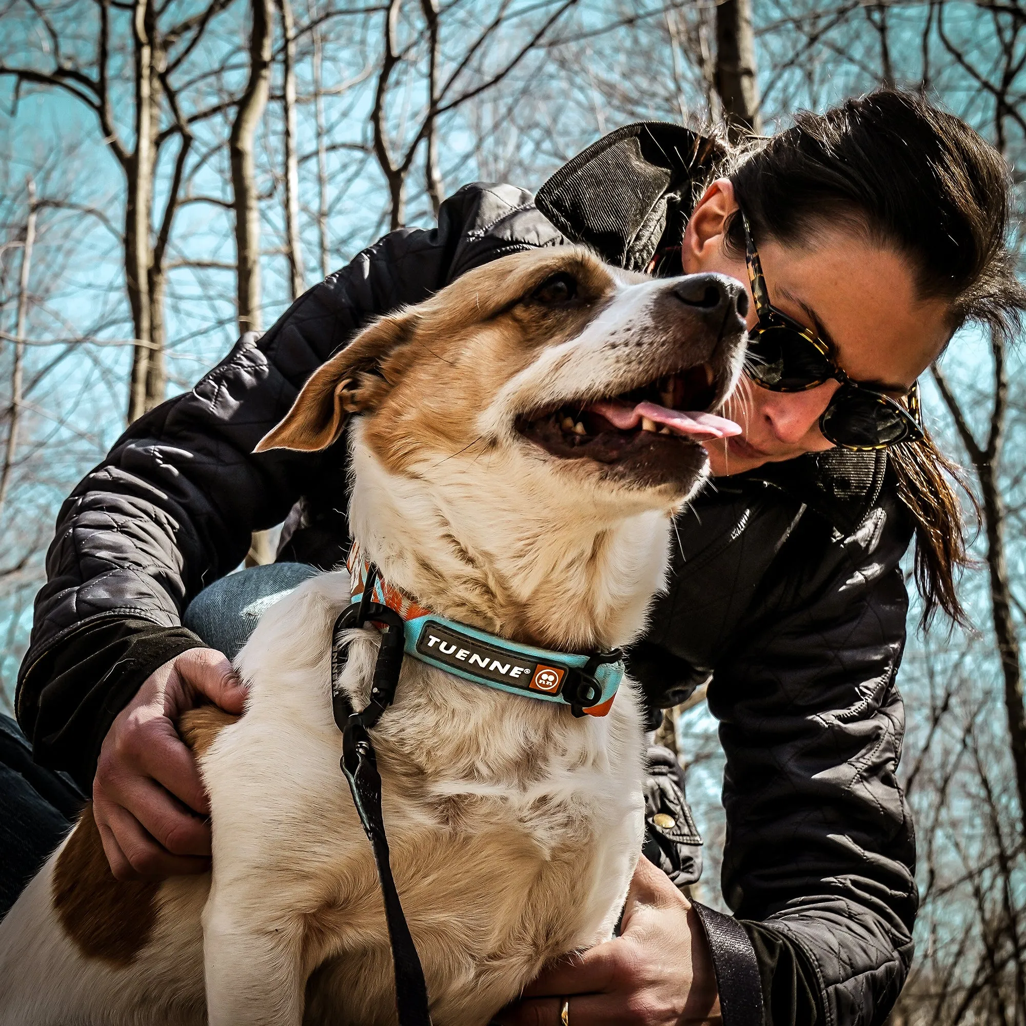 Southwest Dream Leash V2