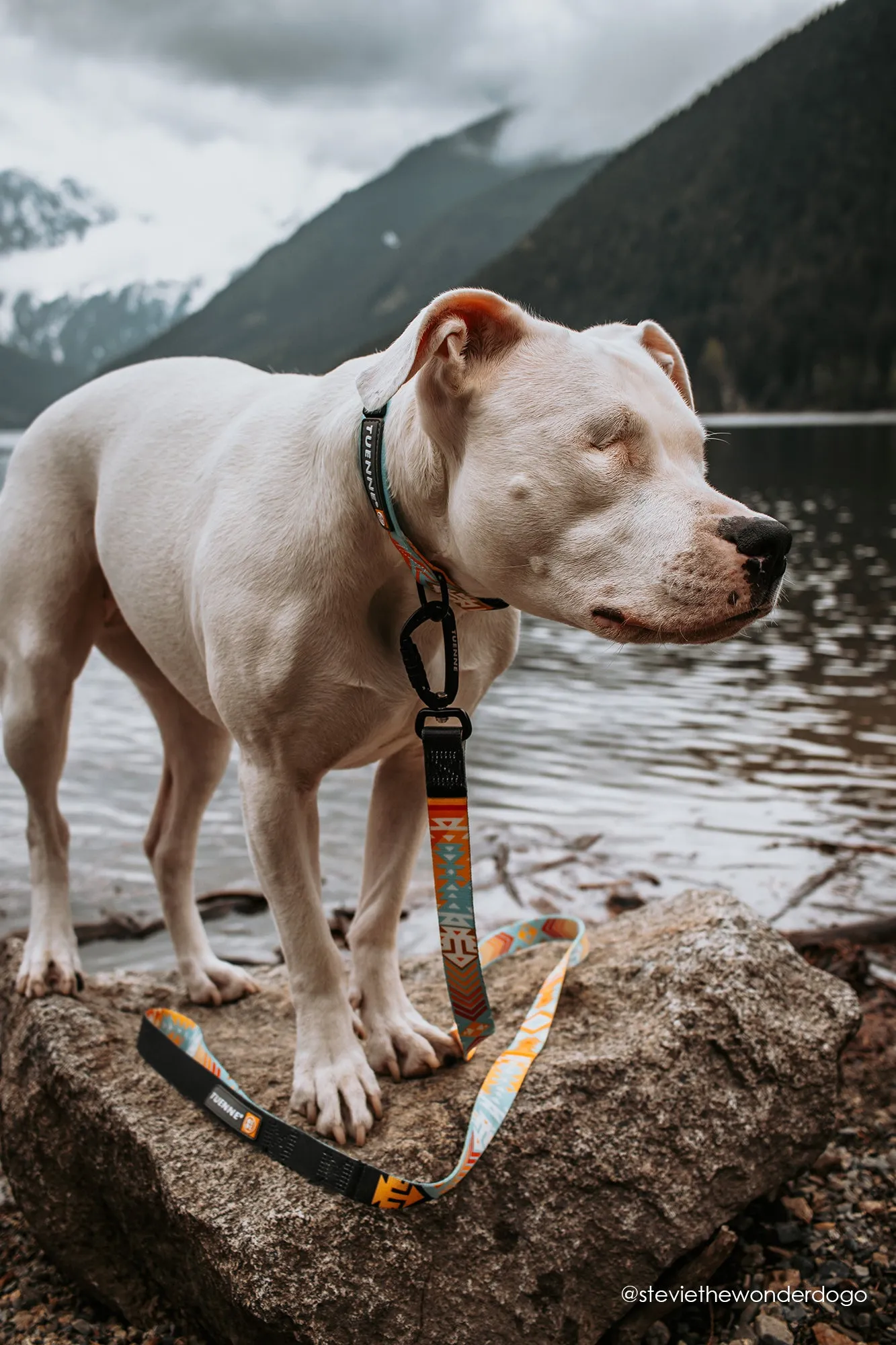 Southwest Dream Leash V2