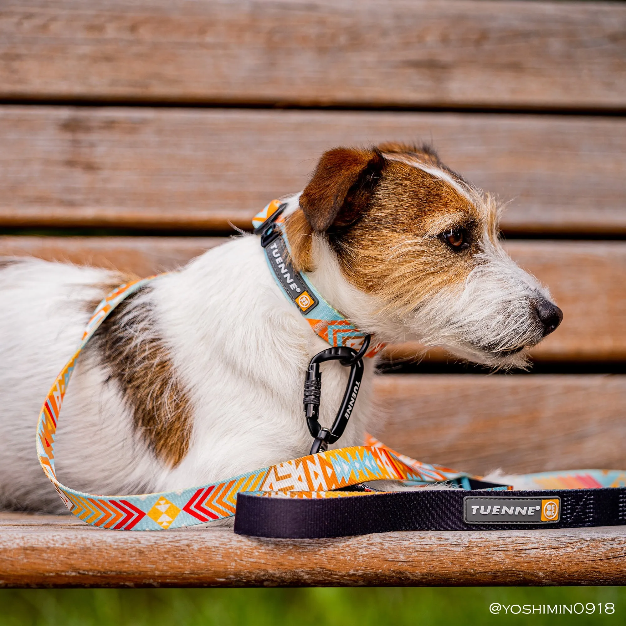 Southwest Dream Leash V2