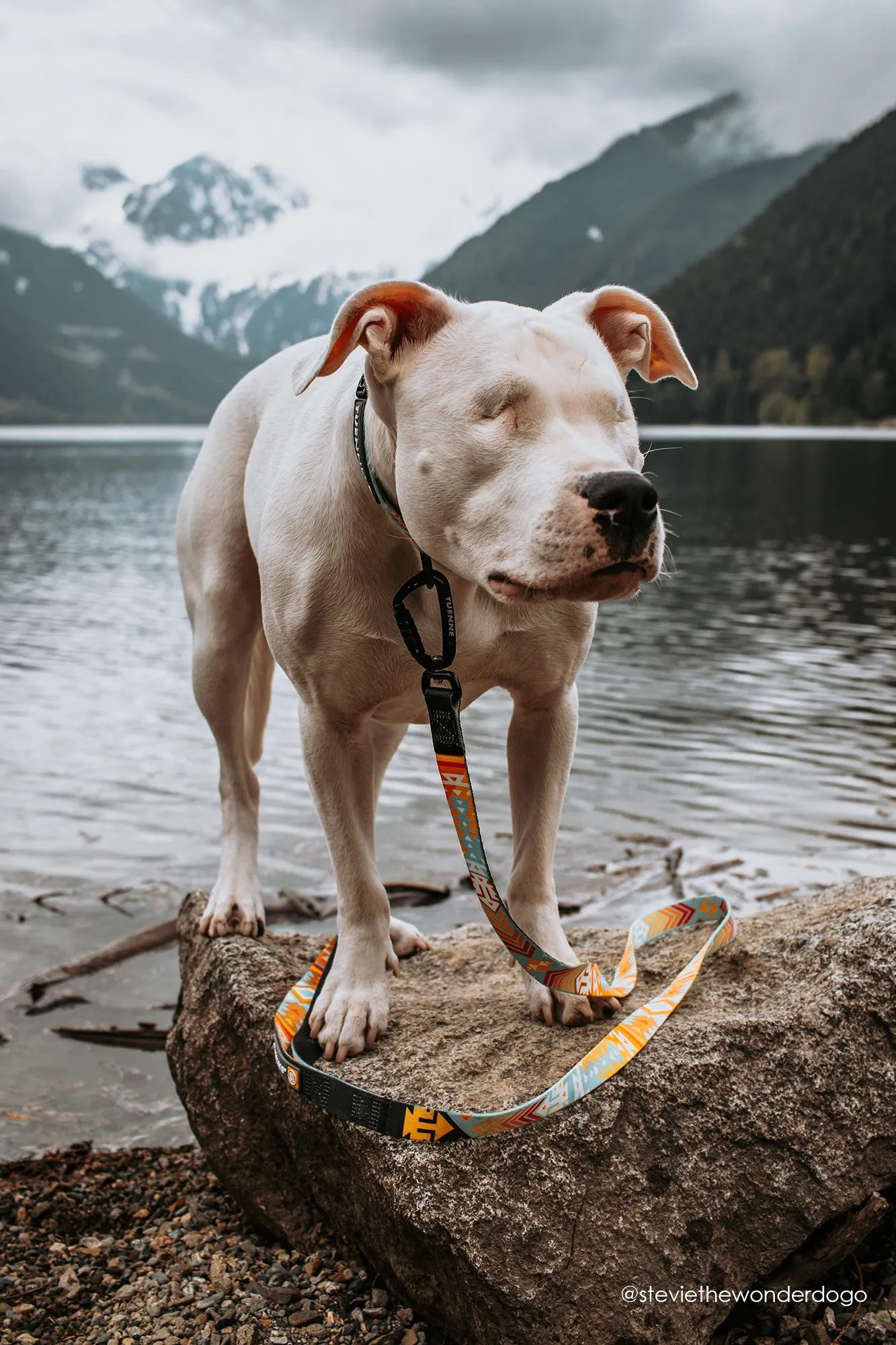 Southwest Dream Leash V2