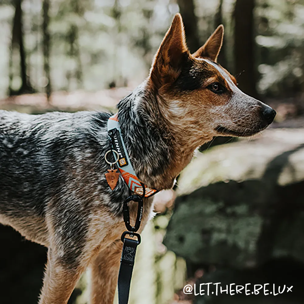 Southwest Dream Leash V2