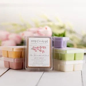 Spring Collection 2024 New Wax Melt Clammies