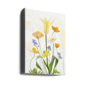 Spring Splendour
