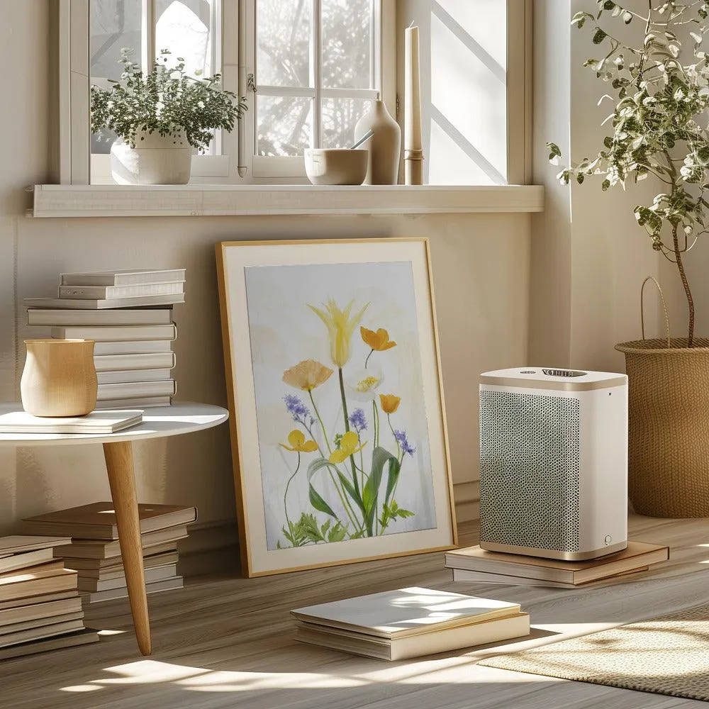 Spring Splendour