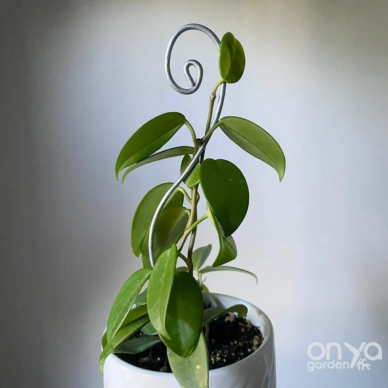 Steel Swirl Plant Stick, Decorative Stem Supporter