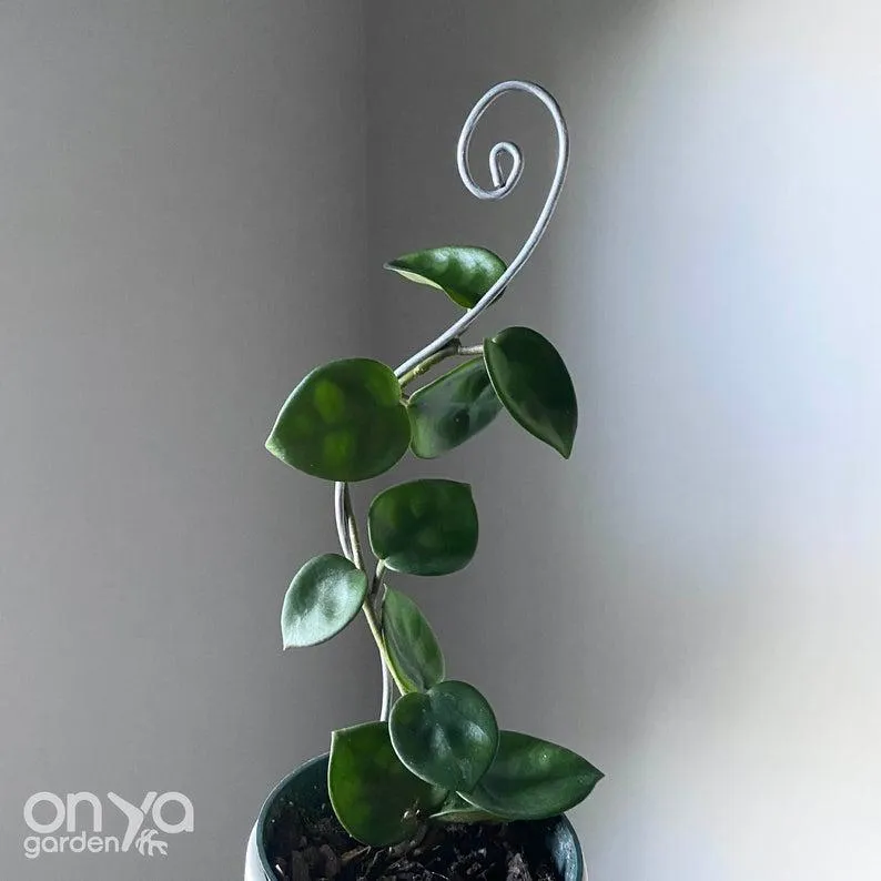 Steel Swirl Plant Stick, Decorative Stem Supporter